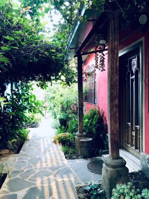 サン・ファン・ラ・ラグナCasa I'Xアパートメント エクステリア 写真