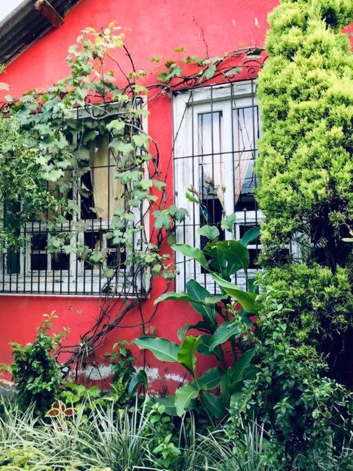 サン・ファン・ラ・ラグナCasa I'Xアパートメント エクステリア 写真